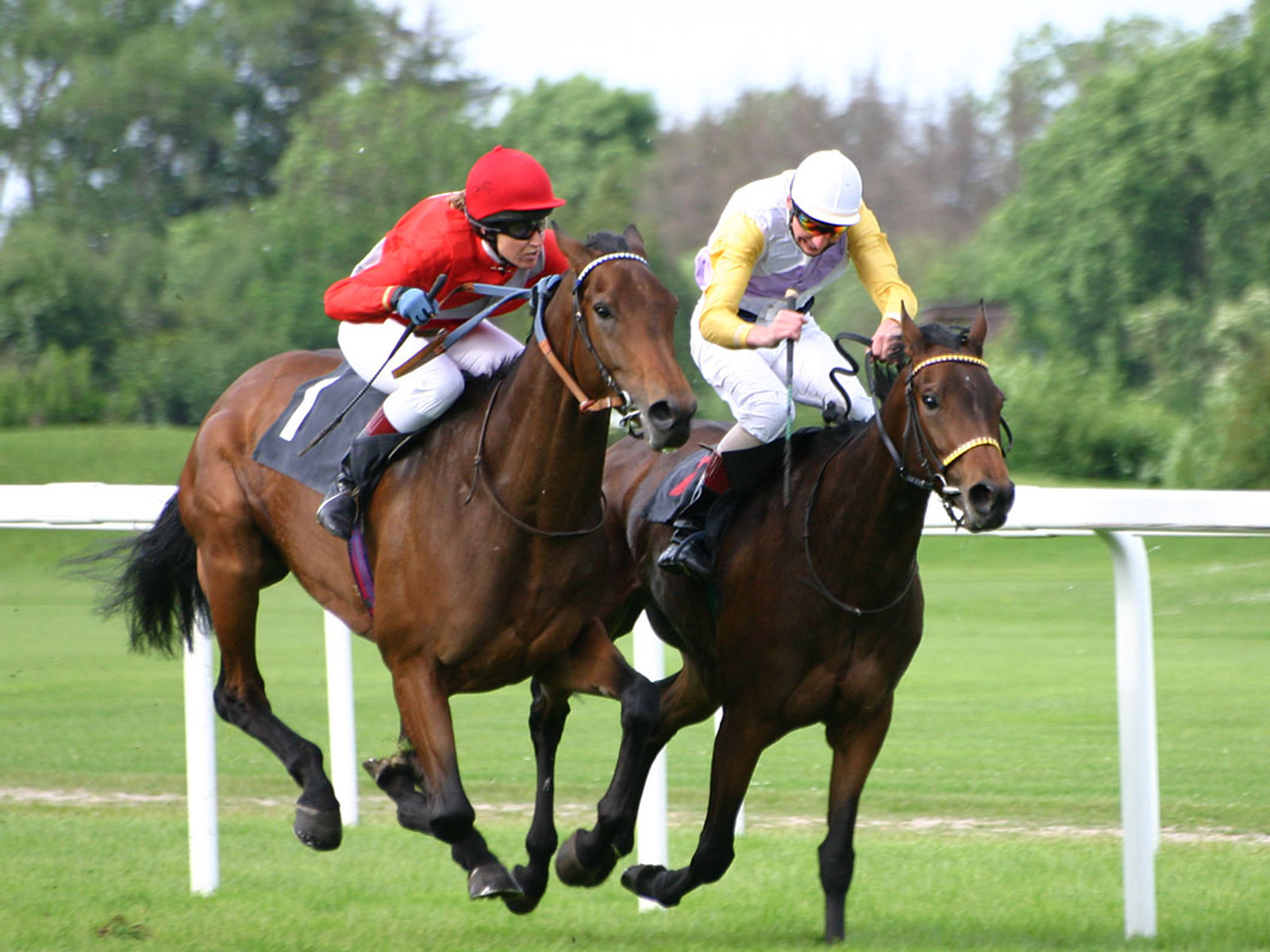 Horse racing at the TAB